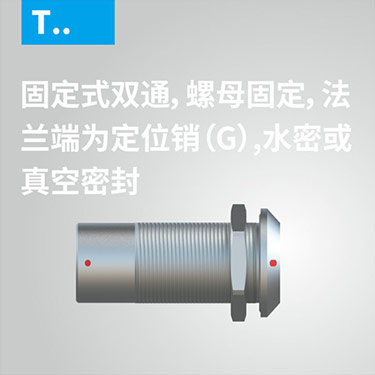 T-固定式双通，螺母固定，法兰端为定位销（G），水密或真空密封