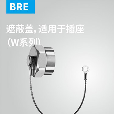 BRE-遮蔽盖，适用于插座（W系列）