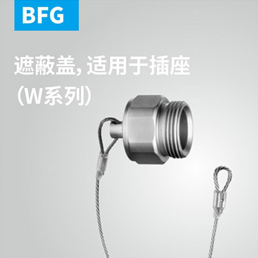 BFG-遮蔽盖，适用于插座（W系列）