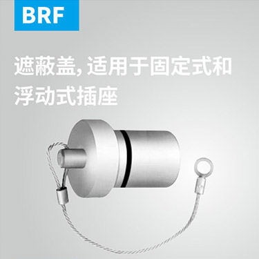 BRF-遮蔽盖，适用于固定式和浮动式插座-bigC