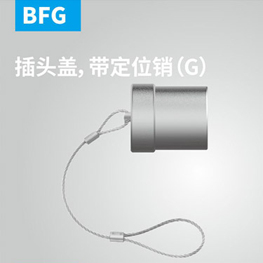 BFG-插头盖，带定位销（G）